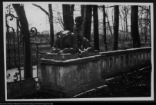 Białystok, Pałac Branickich, ogrodzenie parku