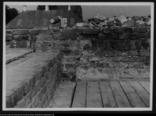 Białystok, ruiny Pałacu Branickich