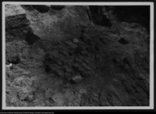 Białystok, ruiny Pałacu Branickich