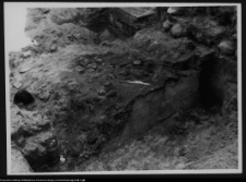 Białystok, ruiny Pałacu Branickich