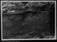 Białystok, ruiny Pałacu Branickich