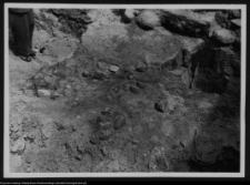 Białystok, ruiny Pałacu Branickich