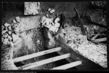 Białystok, ruiny Pałacu Branickich