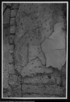 Białystok, ruiny Pałacu Branickich