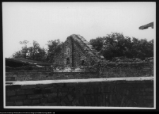Białystok, ruiny Pałacu Branickich (tympanon korpusu głównego)