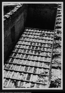 Białystok, ruiny Pałacu Branickich (skrzydło lewe)