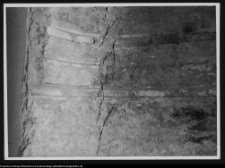 Białystok, ruiny Pałacu Branickich (wnętrze auli. Ściana prezydialna)