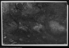 Białystok, ruiny Pałacu Branickich (wykopy w parku przypałacowym)