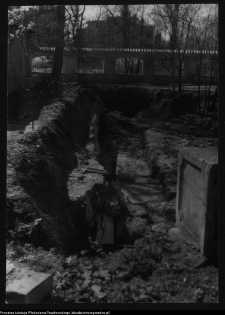 Białystok, odbudowa Pałacu Branickich