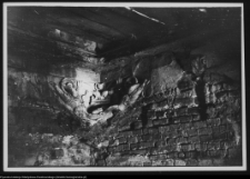 Białystok, ruiny Pałacu Branickich (sztukaterie pokoju kr&oacute;lewskiego)