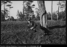 Władysław Paszkowski na fotografii