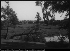 Ciechanowiec, park pałacowy