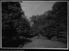 Hieronimowo, park pałacowy