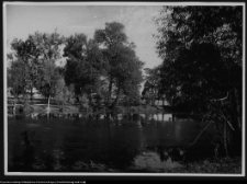 Hieronimowo, park pałacowy, staw