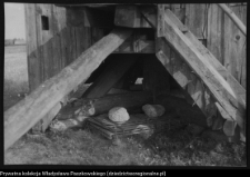 Olszanica, wiatrak (koźlak)