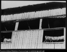 Olszanka, suszarnia tytoniu