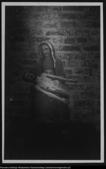 Nowogród, kościół (Pieta gotyk w drzewie)