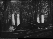 Hołny Mejera (Majera), ruiny dworu