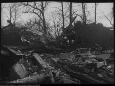 Hołny Mejera (Majera), ruiny dworu