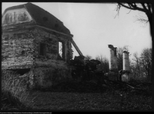 Hołny Mejera (Majera), ruiny dworu