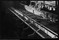 Białystok, odbudowa Pałacu Branickich