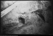 Białystok, odbudowa Pałacu Branickich