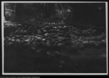 Szwajcaria pod Suwałkami