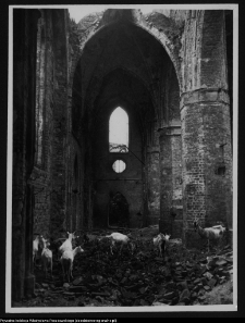 Pyrzyce, kości&oacute;ł