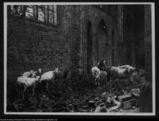 Pyrzyce, kości&oacute;ł