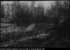 Białystok, odbudowa Pałacu Branickich