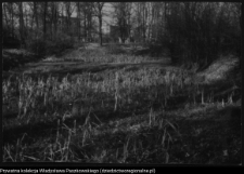 Białystok, odbudowa Pałacu Branickich