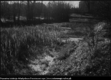 Białystok, odbudowa Pałacu Branickich