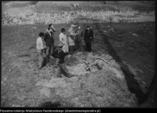 Białystok, odbudowa Pałacu Branickich