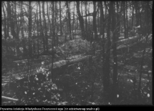 Białystok, odbudowa Pałacu Branickich