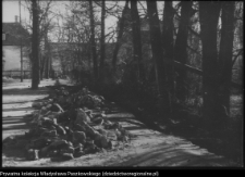 Białystok, odbudowa Pałacu Branickich