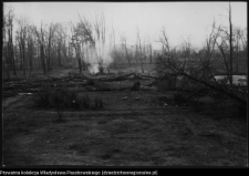 Białystok, odbudowa Pałacu Branickich