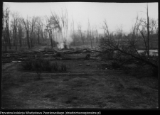 Białystok, odbudowa Pałacu Branickich