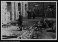 Białystok, odbudowa Pałacu Branickich