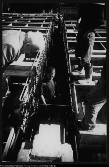 Białystok, odbudowa Pałacu Branickich