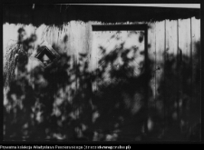 Rutki Stare, chata wiejska