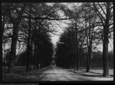 Dowspuda, droga do pałacu