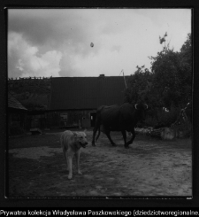 Wiejska architektura drewniana