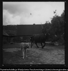 Wiejska architektura drewniana