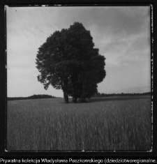 Wiejska architektura drewniana