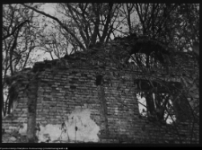 Hieronimowo, ruiny pałacu