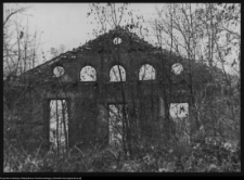 Hieronimowo, ruiny pałacu