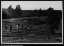 Osowa, stanowisko archeologiczne