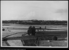 Osowa, okolice cmentarzyska kurhanowego