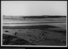 Osowa, okolice cmentarzyska kurhanowego