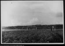 Osowa, w drodze ze wsi do cmentarzyska kurhanowego